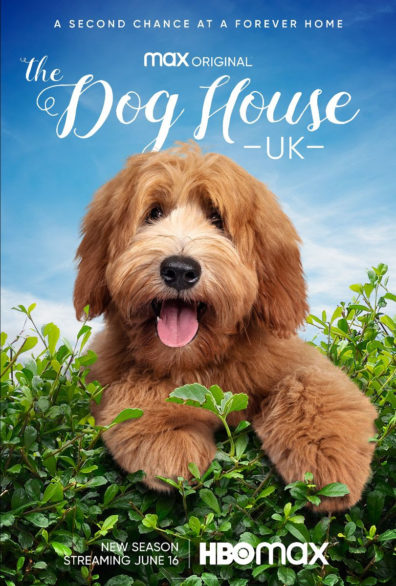 The Dog House (2019)